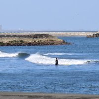 現在では多くのサーファーが訪れる一宮町の海岸
