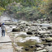 散策が可能になった粟又の滝周辺
