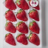 グリーンビーンズの「千」コーナーで販売される「さんたファームのこだわりいちご」（千葉市提供）
