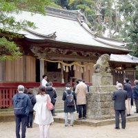 下立松原神社を参拝するツアー参加者＝南房総市白浜町（勝浦市観光協会提供）