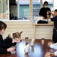 愛犬と一緒にカフェタイム。ドッグスイーツも提供している＝富津市
