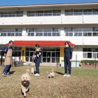 小学校跡地に芝生ドッグラン　カフェ備え、犬用スイーツも　愛犬家癒やしの場に　富津の「マメノキドッグパーク」