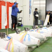 初競りの声、威勢良く　移転２年の成田市場　立地生かし空輸拡大を展望　農水産物ＰＲ策強化