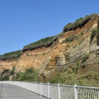 遊歩道から見た屏風ケ浦＝銚子市

