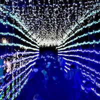 「冬の七夕」２１日開幕　茂原　１００メートルのアーチ型イルミも