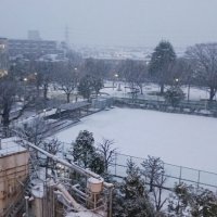 柏市内では夕方になり、一面の雪景色となった＝５日午後５時１５分ごろ