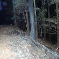 【速報】焼けた車の中に遺体　大多喜の林道、男性２０代～４０代ぐらい　千葉県警、５０人態勢の特別捜査班を設置　死体遺棄事件で捜査