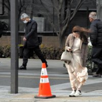 【速報】関東で春一番　昨年より１４日早く