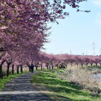 命名「うみさとライン」ＰＲ　花見川・新川流域魅力向上へ　３市連携民間も協力　千葉市　佐倉市　八千代市