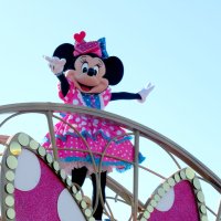 永遠の恋人魅力いっぱい　東京ディズニーランドで「ミニーのファンダーランド」　【舞浜タイムズ２月号】