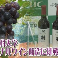 千葉商科大キャンパスでブドウ栽培、ワインづくりプロジェクト　５年たち、どうなった？　気になるあの記事を「ツイセキ！！」　千葉日報×Ｊ：ＣＯＭコラボ第６弾