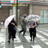 強い風の中、傘を支えながら横断歩道を渡る人たち＝９日、千葉市中央区
