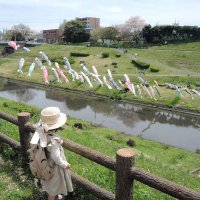 利根運河に揚げられた約１００匹のこいのぼりに、子どもたちが見入っていた＝１３日、流山市
