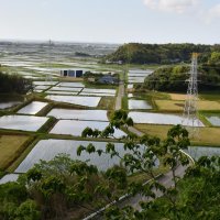 公園から見渡せる田園風景
