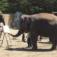 母の日を前に、「カーネーションとゾウ」の絵を描くゆめ花