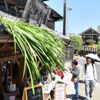 「菖蒲葺き」で邪気払い　香取・佐原の町並み、端午の節句合わせ