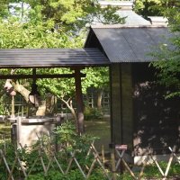 素掘りの深井戸などで当時の生活様式を再現している侍の杜。奥には武家屋敷が連なっている
