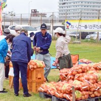 収穫されたタマネギがずらりと並んだ祭り会場＝１２日、白子町