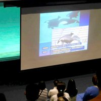 シャチ飼育の歴史紹介　鴨川シーワールド特別レクチャー　５月１８、１９日