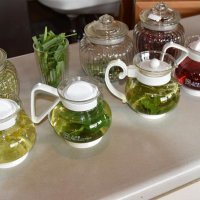 喫茶で提供される摘み立てを使ったハーブティー