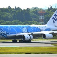 フライングホヌ「５歳」に　ＡＮＡの超大型ウミガメ機　成田空港、園児が誕生日祝う