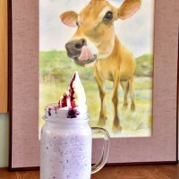 濃厚うま味楽しんで　今年も「生シェイク祭り」　館山　須藤牧場企画