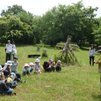 地元の森林見て知って　児童、サンブスギなど学ぶ　山武で自然体験会