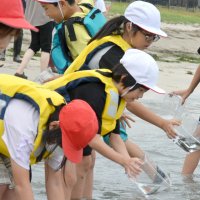 ヒラメ稚魚１０００匹放流　勝浦　興津海岸で小学生ら
