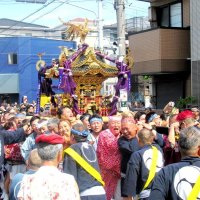 ８年ぶり、みこし８０基が渡御　浦安三社例大祭
