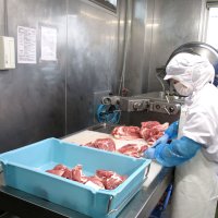 加工品で「いも豚」発信　アサショウ（旭市）　【輝く！千葉の企業　日本政策金融公庫レポート】（１１３）