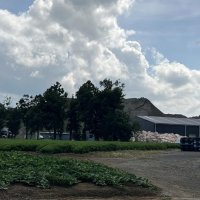 大量の土砂が運び込まれた事件現場=２０２２年８月、多古町南玉造