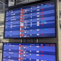 欠航便を伝える成田空港第３ターミナルの電光掲示板＝１９日、成田市