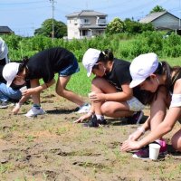 町の花ヒマワリの名所を　小中生が休耕地で種まき　白子