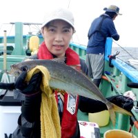 保田沖で釣り上げたアジ（写真は「村井丸」提供）