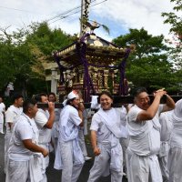 男衆　威勢良くみこし巡行　小見川祇園祭が開幕　香取　あすまで