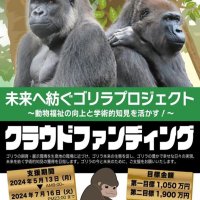 ゴリラＣＦに１６００万円集まる　飼育環境改善に千葉市動物公園　第１目標クリア、展示場に植樹