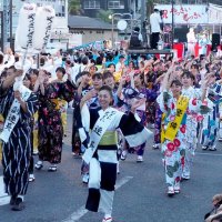「おっさ、おっさ」木更津、熱気　やっさいもっさい６９連３６００人