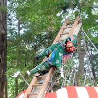 ７メートルはしごの上で妙技　横芝光　伝統の中台梯子獅子
