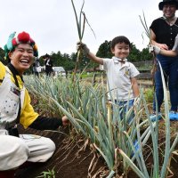 野菜の日の８月３１日、ヤサイちゃんと一緒にネギを収穫した参加者＝香取市