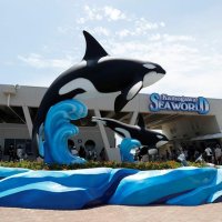【速報】鴨川シーワールド１６日休館　台風接近に伴い「お客様の安全を考慮」