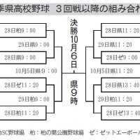 いよいよ１６強対戦　２８日、拓大紅陵－習志野など８試合　秋季千葉県高校野球