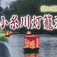 気になるあの記事を「ツイセキ！！」 ５０年ぶりに復活した小糸川の灯籠流し　幻想の明かり、今は　千葉日報×Ｊ：ＣＯＭコラボ第１２弾
