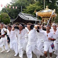 勇壮に「もみ」「さし」披露　館山で「やわたんまち」始まる
