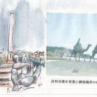 歴史と文化運ぶ役割　黒潮遭難ドン・ロドリゴ物語　【黒潮ものがたり　紀伊・房総】（１４）