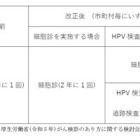 リスク保持者を管理　ＨＰＶ検査単独法導入　新しい子宮頸がん検診　千葉県がんセンター婦人科部長　鈴鹿清美　【９月はがん征圧月間　ちば　がんにうち克つ】（３）