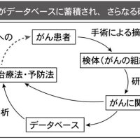 腫瘍調べ“敵”に対策　データは「人類の財産」　患者協力に基づく研究　千葉県がんセンター研究所細胞治療開発研究部長　河津正人　【９月はがん征圧月間　ちばがんにうち克つ】（１５）