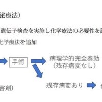 種類に応じ方針決定　適応は主治医に相談を　早期乳がんの個別化治療　千葉県がんセンター乳腺外科部長　中村力也　【９月はがん征圧月間　ちばがんにうち克つ】（１３）