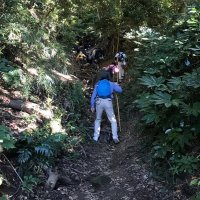 雨水などの浸食により土壌が流出した登山道（南房総市提供）
