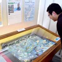 秋山氏と一宮の自然紹介　貝標本や絵画など２４点　中央公民館、３０日まで