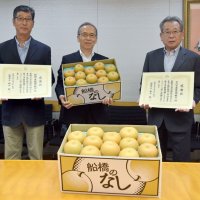船橋産梨「豊水」５１０キロ福祉施設へ　園芸組合、ＪＡいちかわ